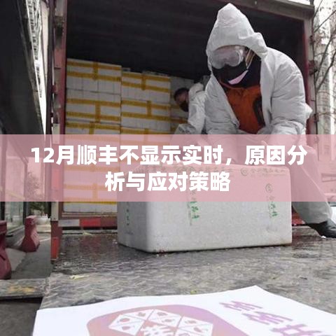 順豐快遞實(shí)時(shí)信息缺失，原因解析與應(yīng)對方案