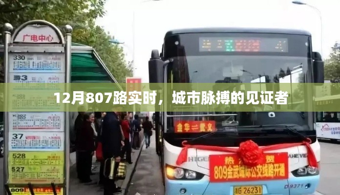 城市脈搏見證者，12月807路實(shí)時(shí)動(dòng)態(tài)