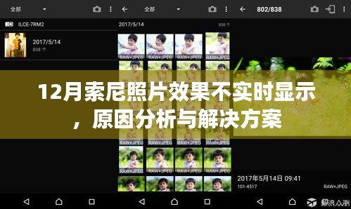 索尼照片效果不實時顯示，原因解析與解決方案