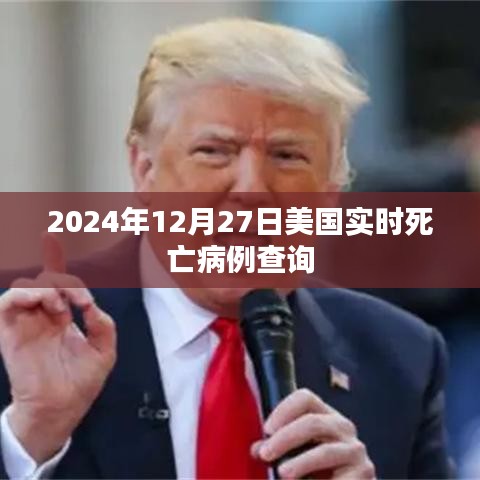 美國(guó)實(shí)時(shí)死亡病例查詢(xún)（截至2024年12月27日）