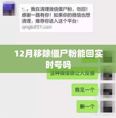 僵尸粉移除與實時號恢復(fù)，12月操作指南