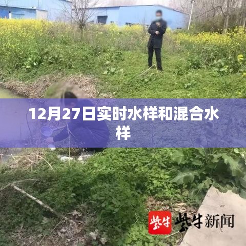 12月27日實(shí)時與混合水樣檢測分析