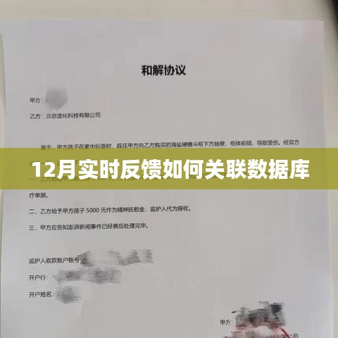 實時反饋與數(shù)據(jù)庫關(guān)聯(lián)之道，12月操作指南