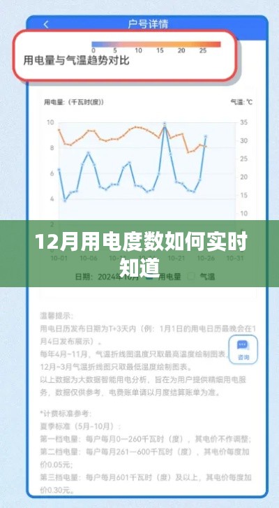 實(shí)時(shí)查詢12月用電度數(shù)方法