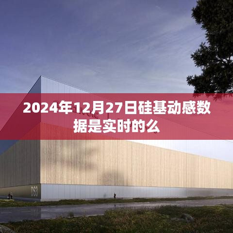 硅基動(dòng)感數(shù)據(jù)實(shí)時(shí)性探討，2024年12月27日數(shù)據(jù)準(zhǔn)確性分析