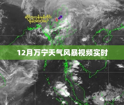 萬寧風暴來襲，最新天氣實時視頻