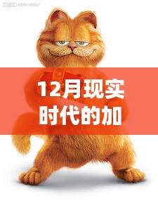 現(xiàn)實版加菲貓圖片集，溫馨可愛瞬間捕捉