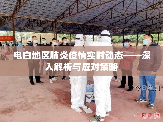 電白地區(qū)肺炎疫情最新動(dòng)態(tài)，解析與應(yīng)對(duì)策略