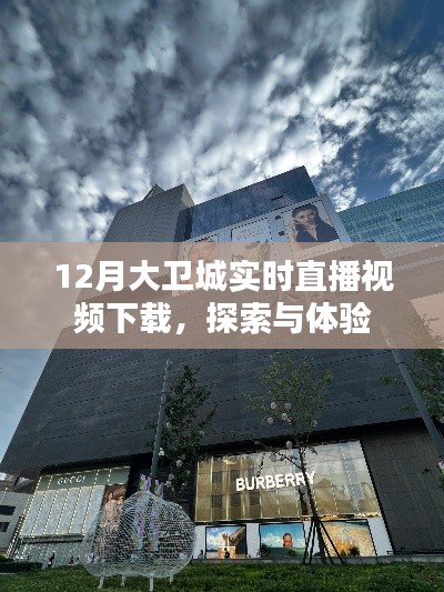 大衛(wèi)城12月實(shí)時(shí)直播視頻下載，探索與體驗(yàn)之旅
