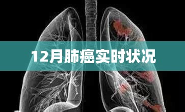貴險(xiǎn)賤璧 第4頁(yè)