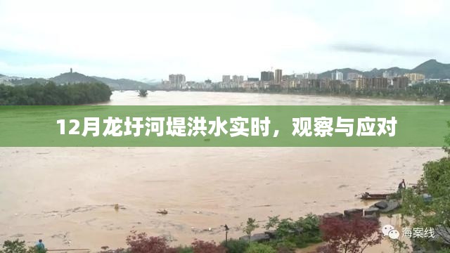 龍圩河堤洪水實時觀察與應(yīng)對舉措