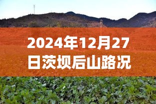 茨壩后山路況實時更新，查詢表及指南
