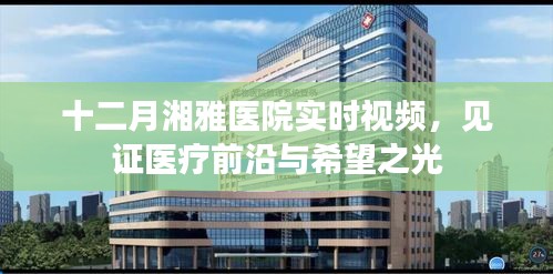 眉目如畫 第4頁