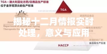 揭秘十二月情報實時處理應(yīng)用及其重要性
