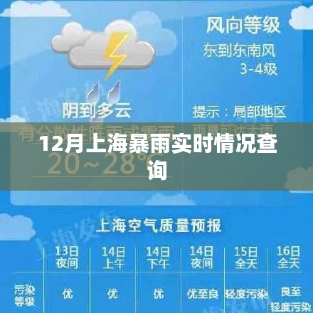 上海暴雨實(shí)時(shí)更新，最新天氣動態(tài)查詢