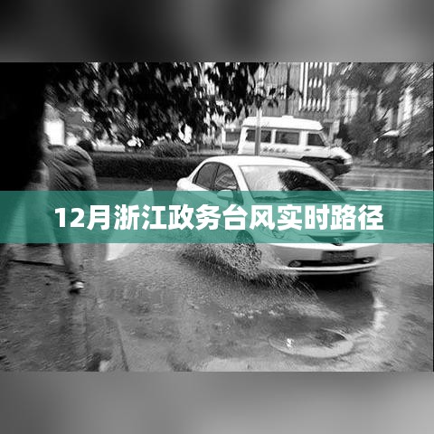 浙江政務(wù)臺風(fēng)實(shí)時路徑播報