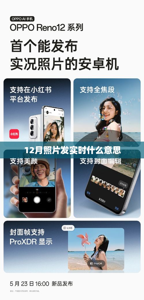 實(shí)時(shí)分享，揭秘十二月照片發(fā)實(shí)時(shí)背后的故事。