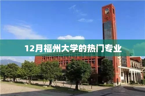 福州大學熱門專業(yè)榜單（12月版）