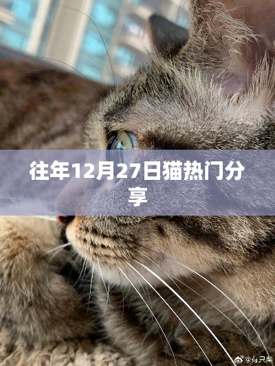 貓熱門(mén)分享回顧，歷年12月27日精彩瞬間