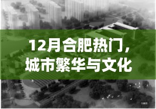 合肥12月熱門活動(dòng)，城市交響與文化繁榮