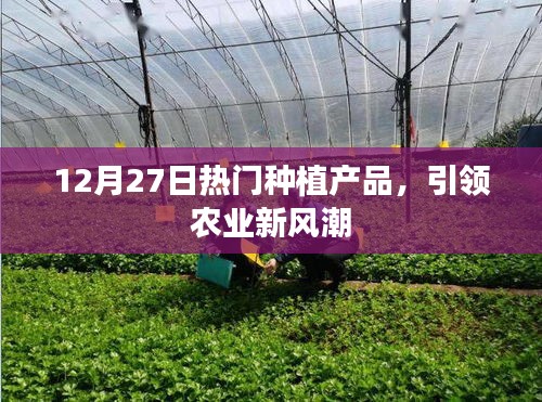 一本正經(jīng) 第4頁