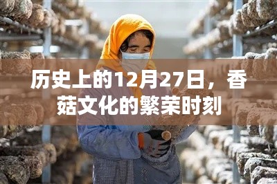 香菇文化繁榮時(shí)刻，歷史12月27日回顧