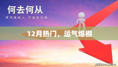 12月運勢大熱，好運爆棚時刻！