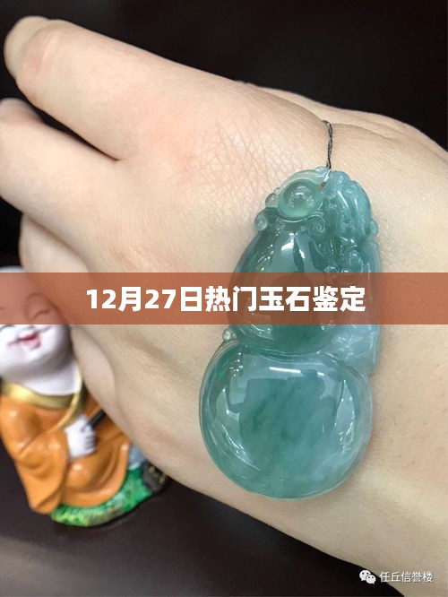 玉石鑒定熱點(diǎn)解析，12月27日最新資訊