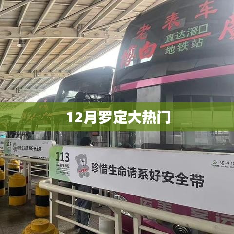 羅定熱點(diǎn)新聞，揭秘十二月大熱門事件