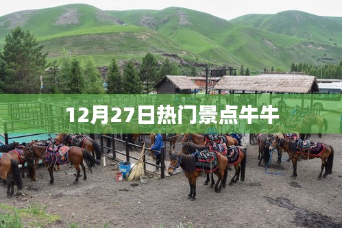 12月27日熱門(mén)景點(diǎn)探訪(fǎng)，牛牛之旅