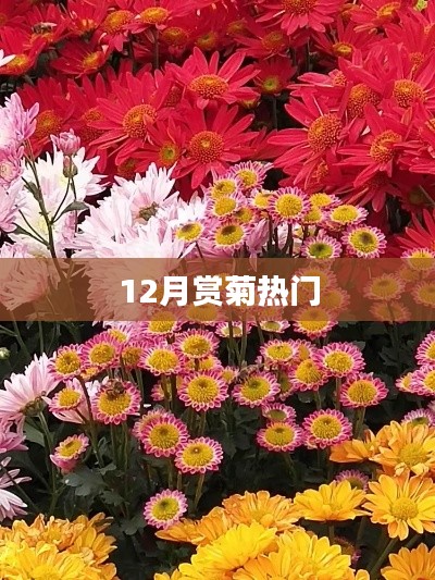 千嬌百媚 第4頁