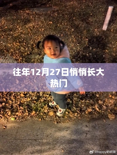 年終倒數(shù)時刻，揭秘十二月二十七日的熱門秘密