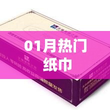 『精選推薦』一月份熱門(mén)紙巾品牌榜單』