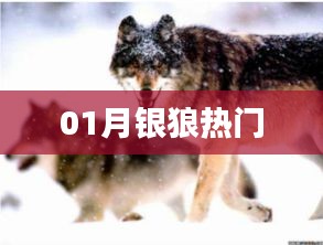 火傘高張 第4頁