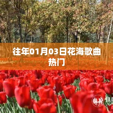 『花海歌曲熱爆，歷年一月初最受歡迎的旋律』