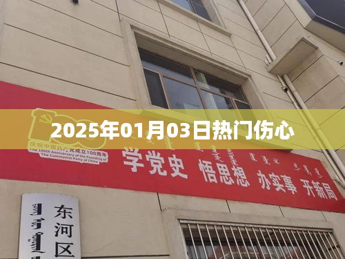 『2025年1月3日，那些令人心碎的瞬間』
