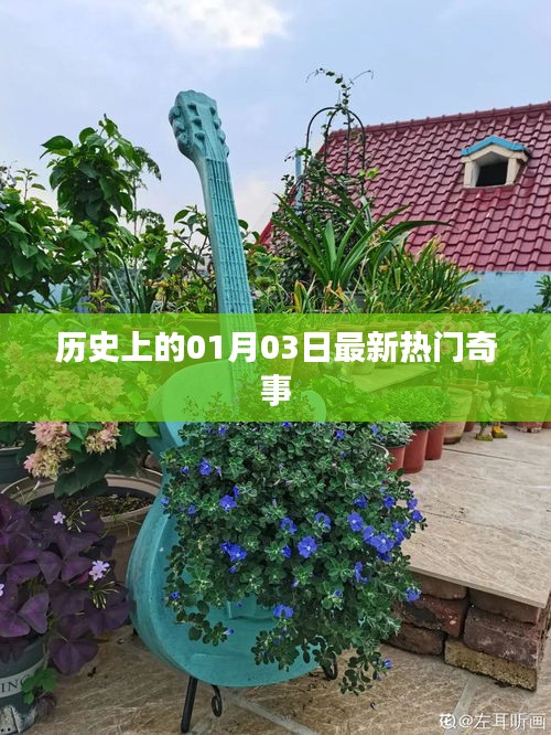 歷史奇聞揭秘，一月三日最新熱門事件回顧
