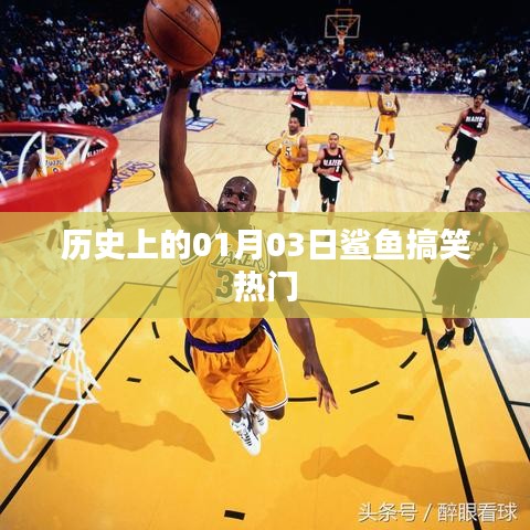 歷史上的鯊魚搞笑瞬間，一月三日歡樂回顧