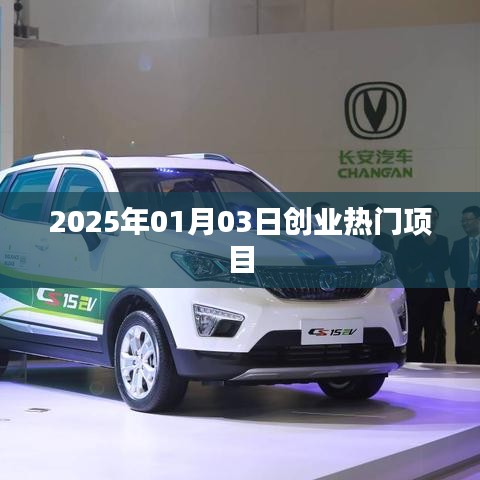 2025年創(chuàng)業(yè)熱門(mén)項(xiàng)目揭秘，把握未來(lái)商機(jī)