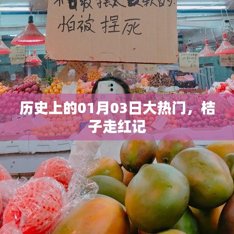 歷史大熱門，桔子走紅記，揭秘背后的故事
