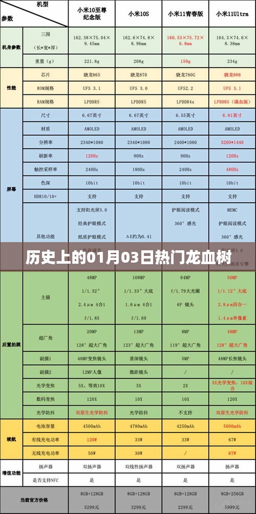 龍血樹(shù)的歷史變遷，一月三日的重要時(shí)刻回顧