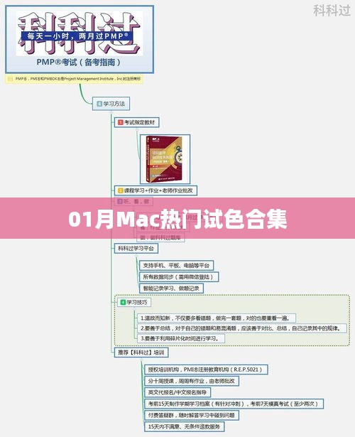 「獨(dú)家盤點(diǎn)」Mac熱門試色合集，一月精選不容錯(cuò)過