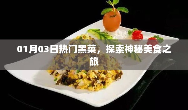熱門(mén)黑菜探索，神秘美食之旅（日期標(biāo)注）
