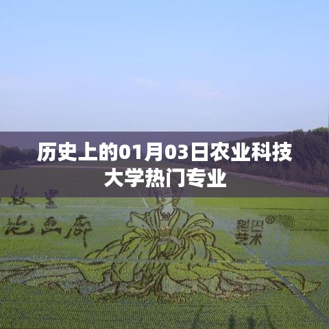 歷史上的農(nóng)業(yè)大學(xué)熱門專業(yè)，聚焦一月三日的發(fā)展