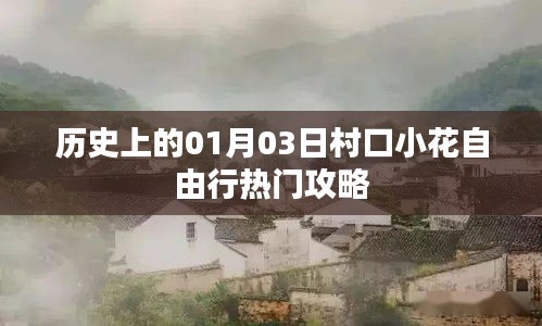 村口小花自由行，一月三日熱門攻略回顧