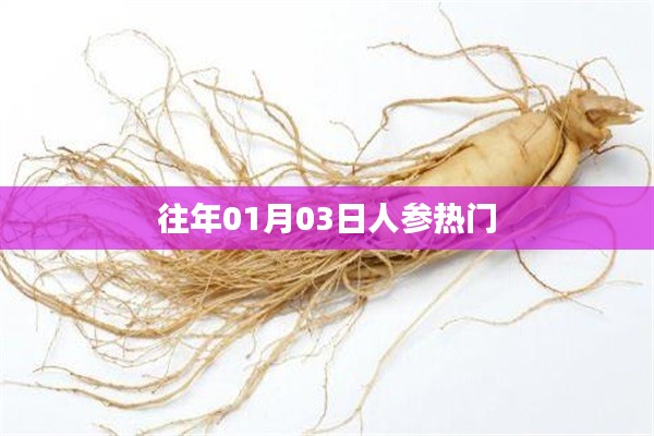 人參熱門事件回顧，歷年一月初三矚目時(shí)刻