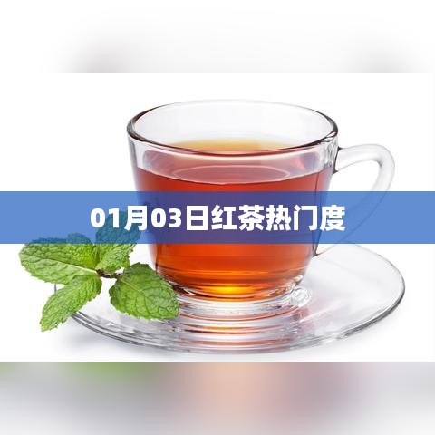 紅茶熱門度揭秘，最新趨勢分析（日期，01月03日）
