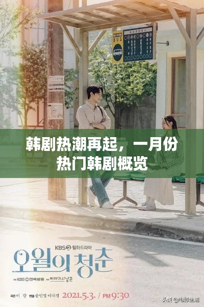 一月份韓劇熱潮回顧，熱門劇集概覽