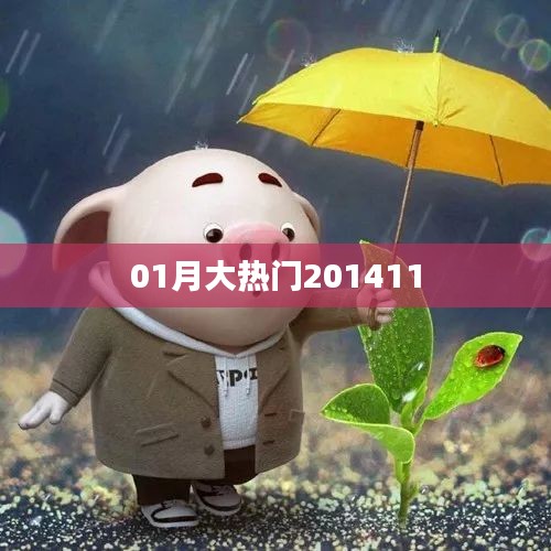 大熱門事件回顧，揭秘2014年1月熱點話題