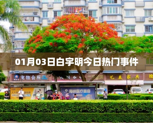白宇明最新熱門事件曝光，關(guān)注細(xì)節(jié)解析
